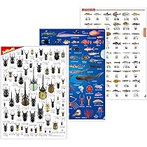 ベルセルク クリアファイル 4枚セット Amazon.co.jp: 大ベルセルク展記念グッズ 4曲屏風 蝕の記憶